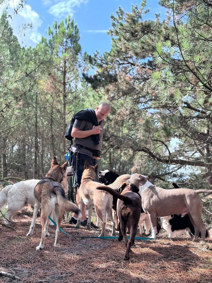 Danny, de begeleider met een groep honden in het bos.